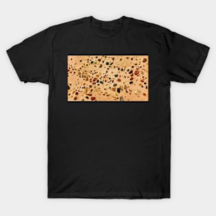 Beach Stones Abstract 13 T-Shirt